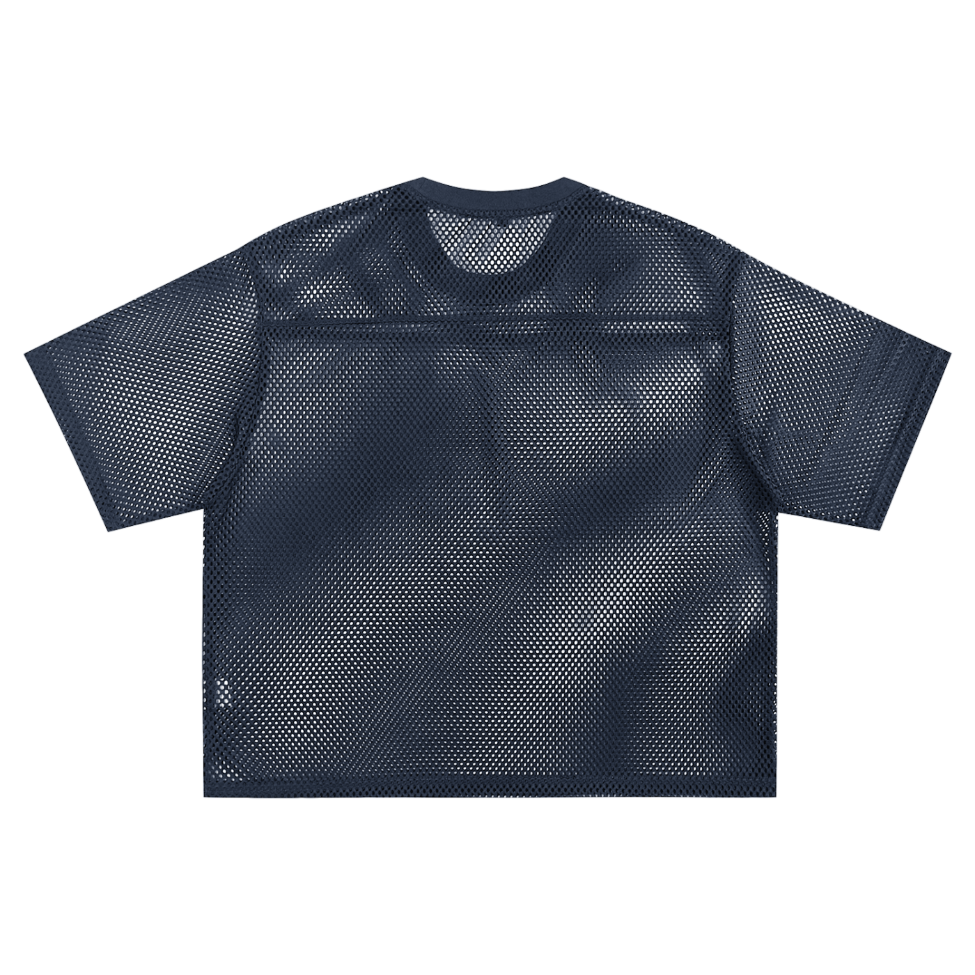 Aonaran 1 OFF See-through Boxy Net T-shirt