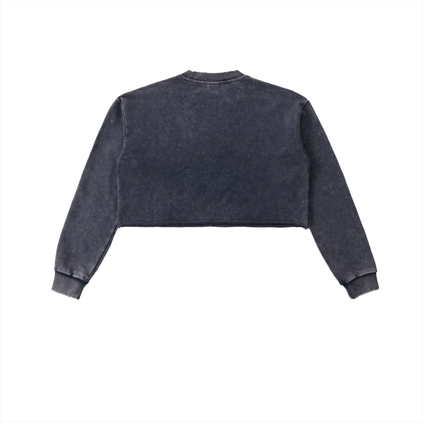 SaudiJae Snow Washed Raw Edge Cropped Sweatshirt