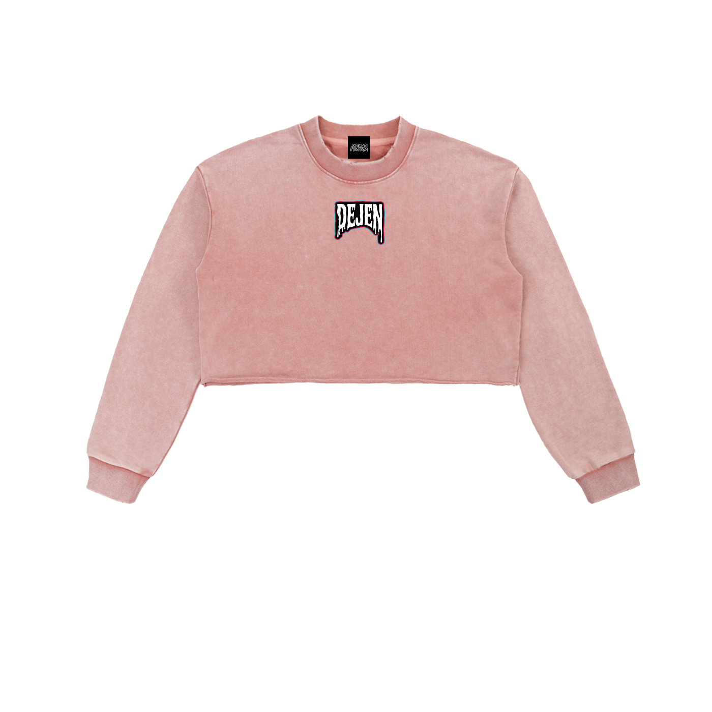 REPACKED Snow Washed Raw Edge Cropped Sweatshirt