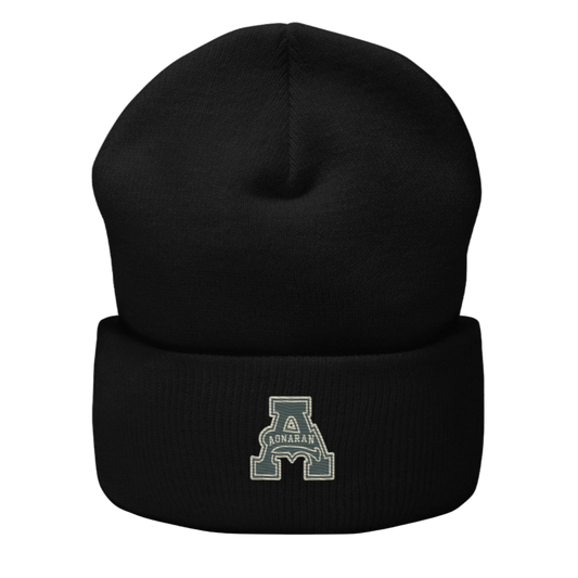 DS1 Cuffed Beanie