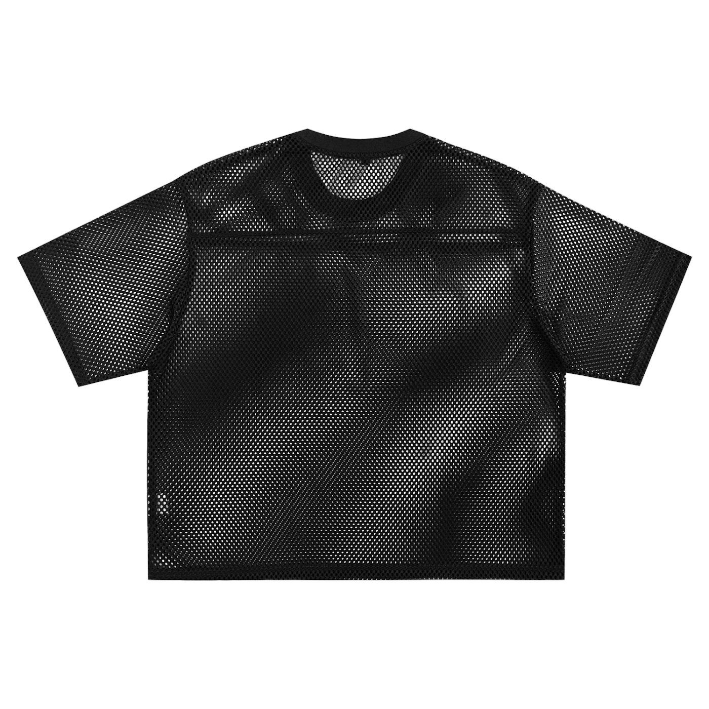 Aonaran 1 OFF See-through Boxy Net T-shirt
