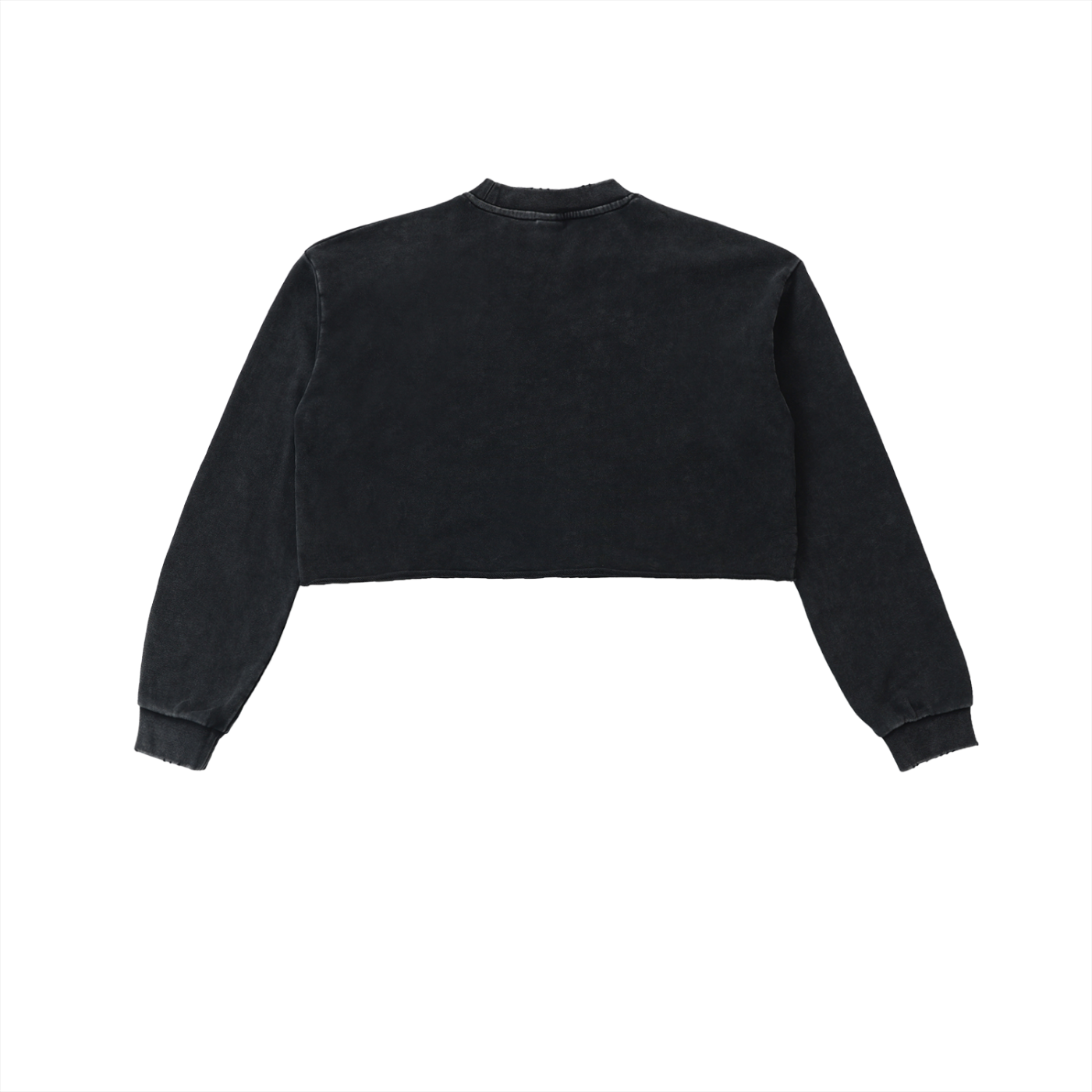 Dejen Season 3 Snow Washed Raw Edge Cropped Sweatshirt