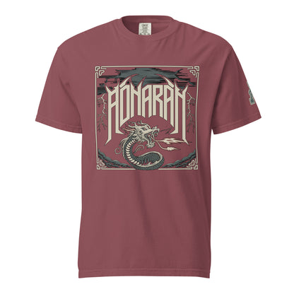 DS1 Unisex t-shirt