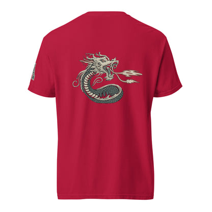 DS1 Unisex t-shirt