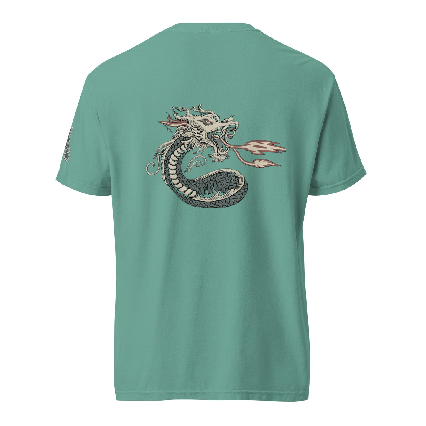 DS1 Unisex t-shirt