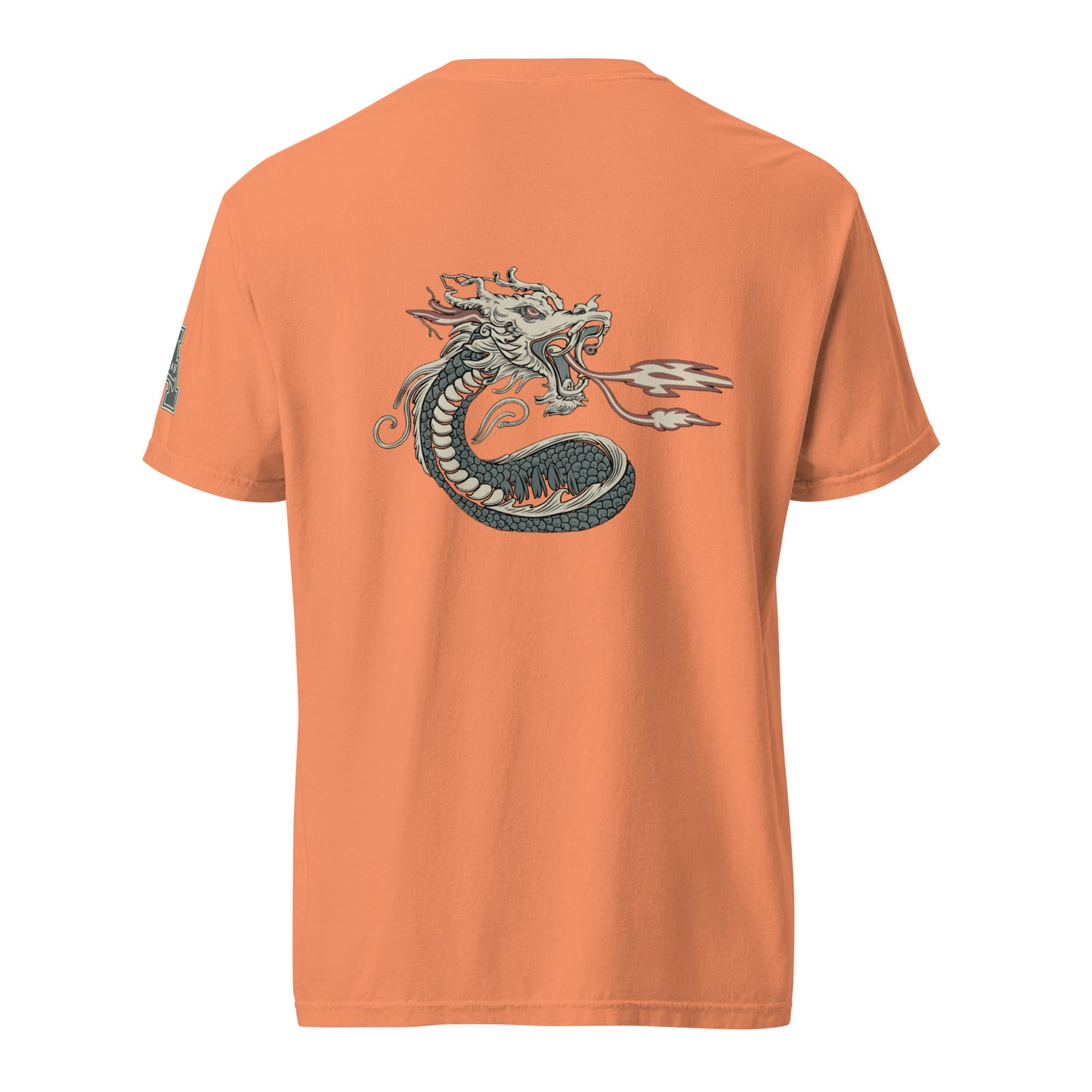 DS1 Unisex t-shirt